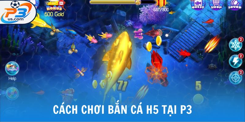 Chơi Game Bắn Cá H5 - Trải Nghiệm Biển Xanh Sống Động Tại P3 5 Cách chơi bắn cá h5 tại P3